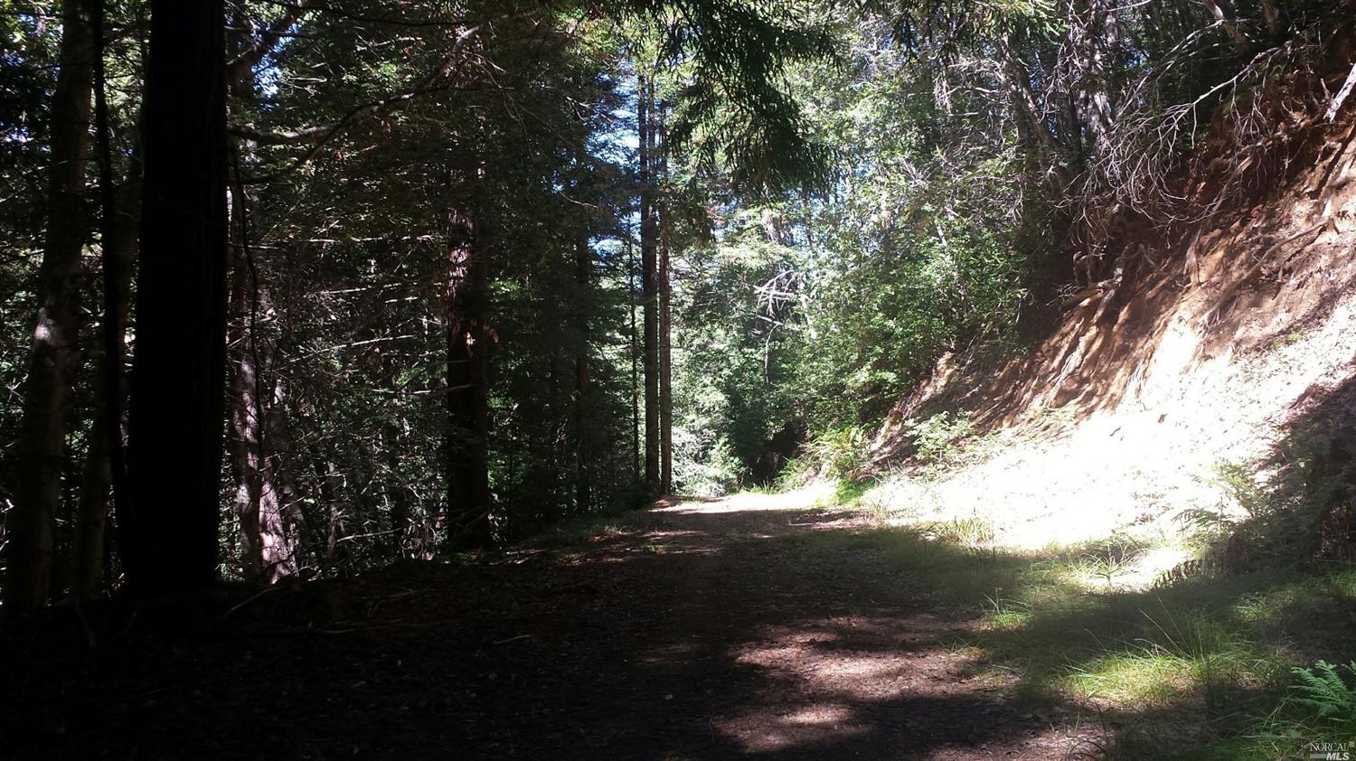 Undisclosed, Willits, CA 95490 photo 1