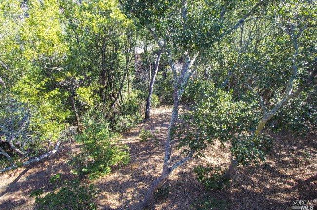22 Midhill Dr, Mill Valley, CA 94941 photo 21