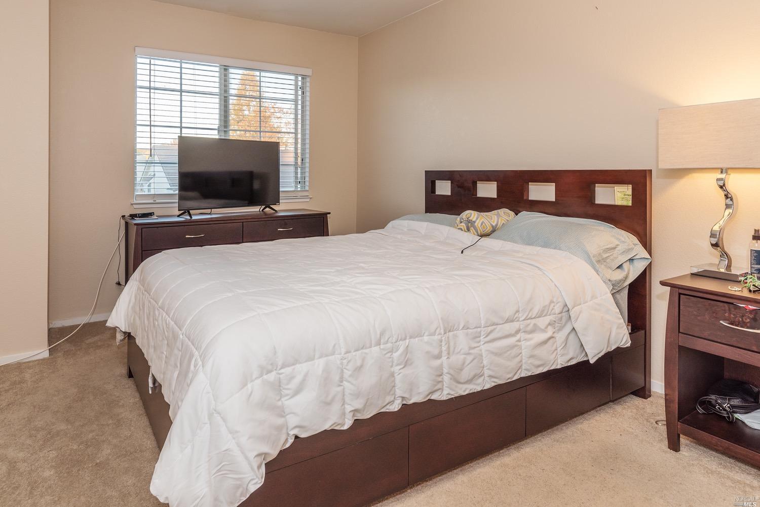166 Flametree Cir, Windsor, CA 95492 photo 17