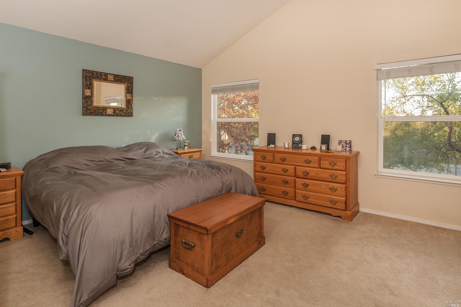 166 Flametree Cir, Windsor, CA 95492 photo 13
