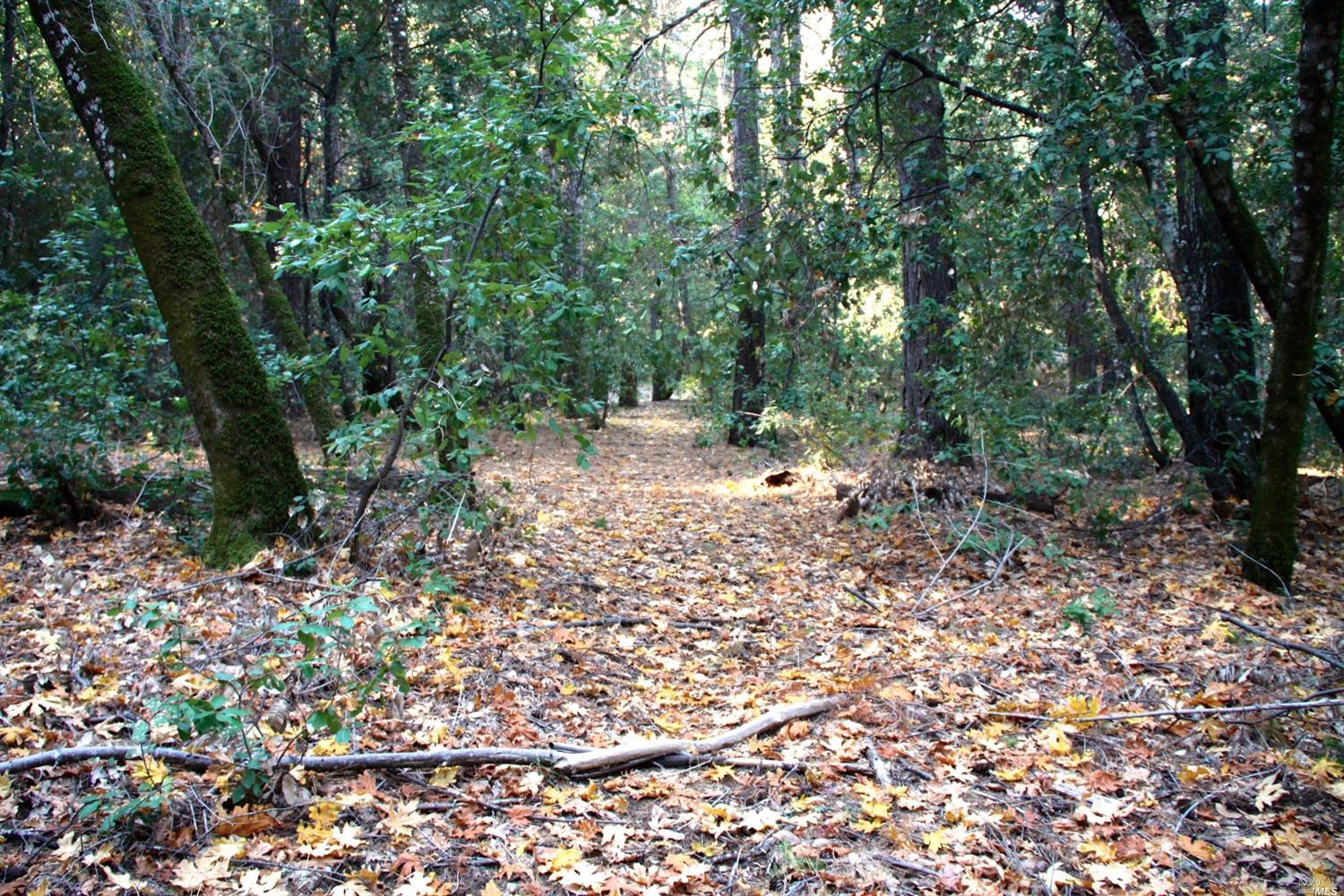 1225 Howell Mountain Rd, Angwin, CA 94508 photo 1