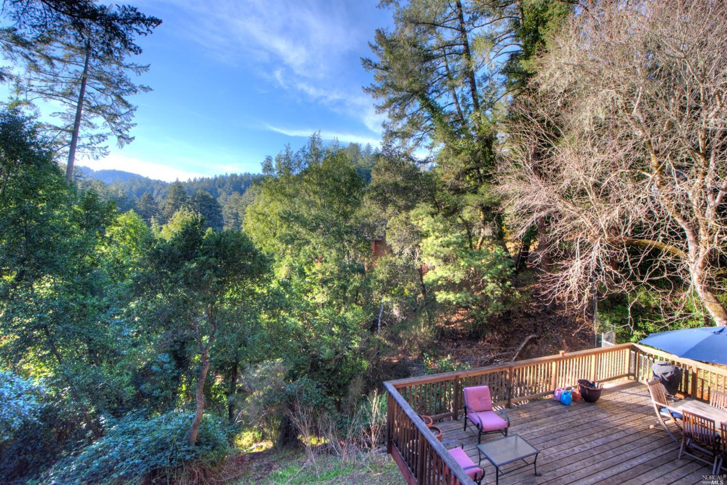 90 Mountain View Ave, Lagunitas, CA 94938 photo 4
