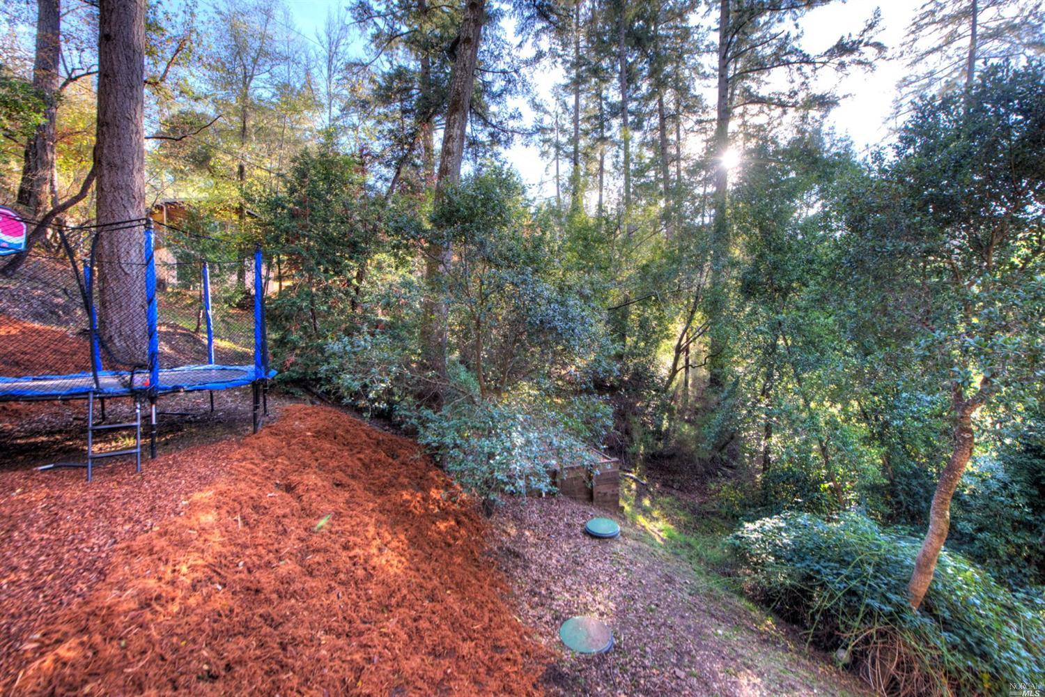 90 Mountain View Ave, Lagunitas, CA 94938 photo 15