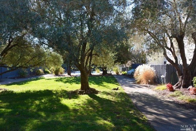 183 Blue Wing Dr, Sonoma, CA 95476 photo 23