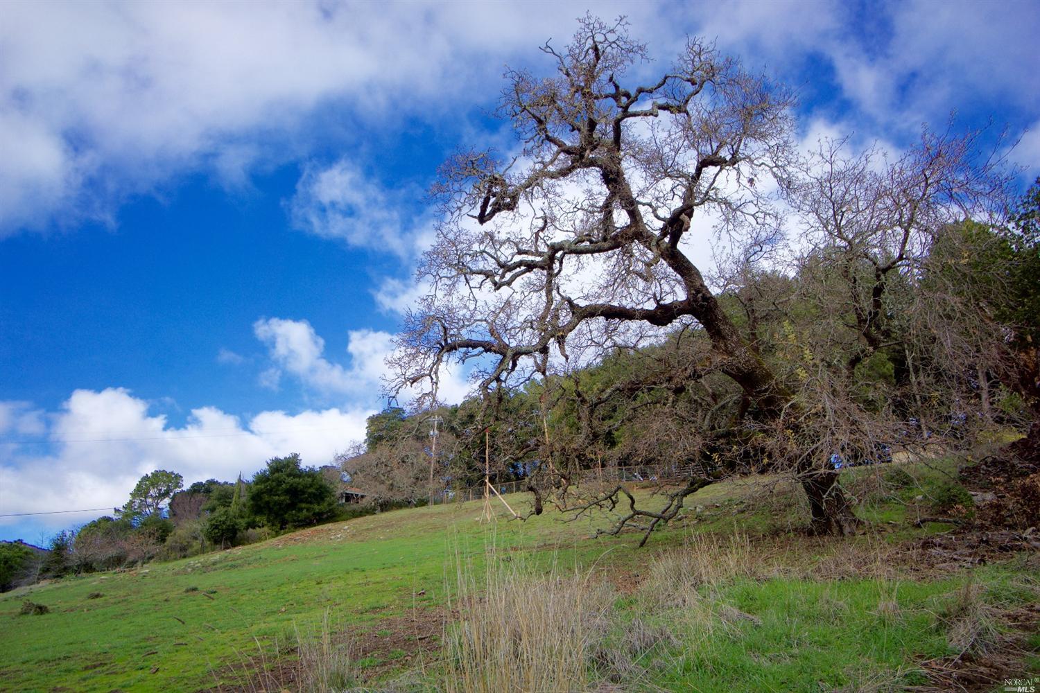 4065 Grove St, Sonoma, CA 95476 photo 2