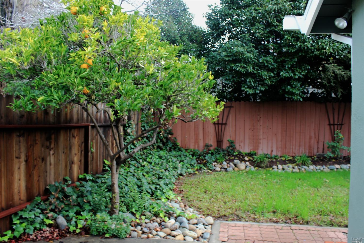 2482 Heather Dr, Fairfield, CA 94533 photo 28