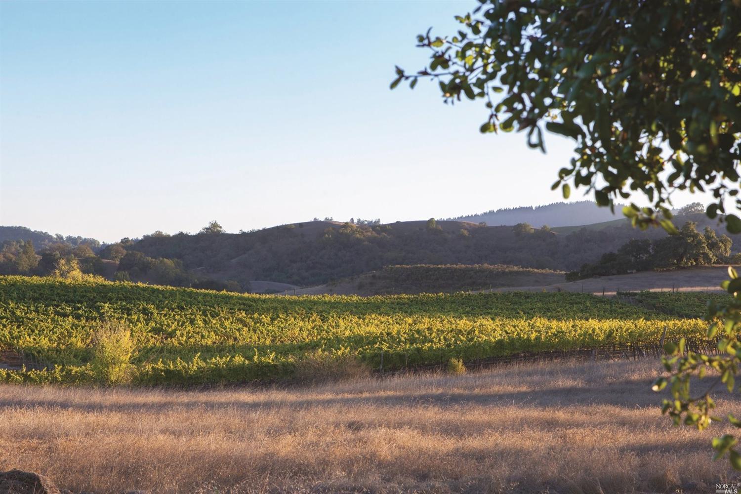 Undisclosed, Healdsburg, CA 95448 photo 16