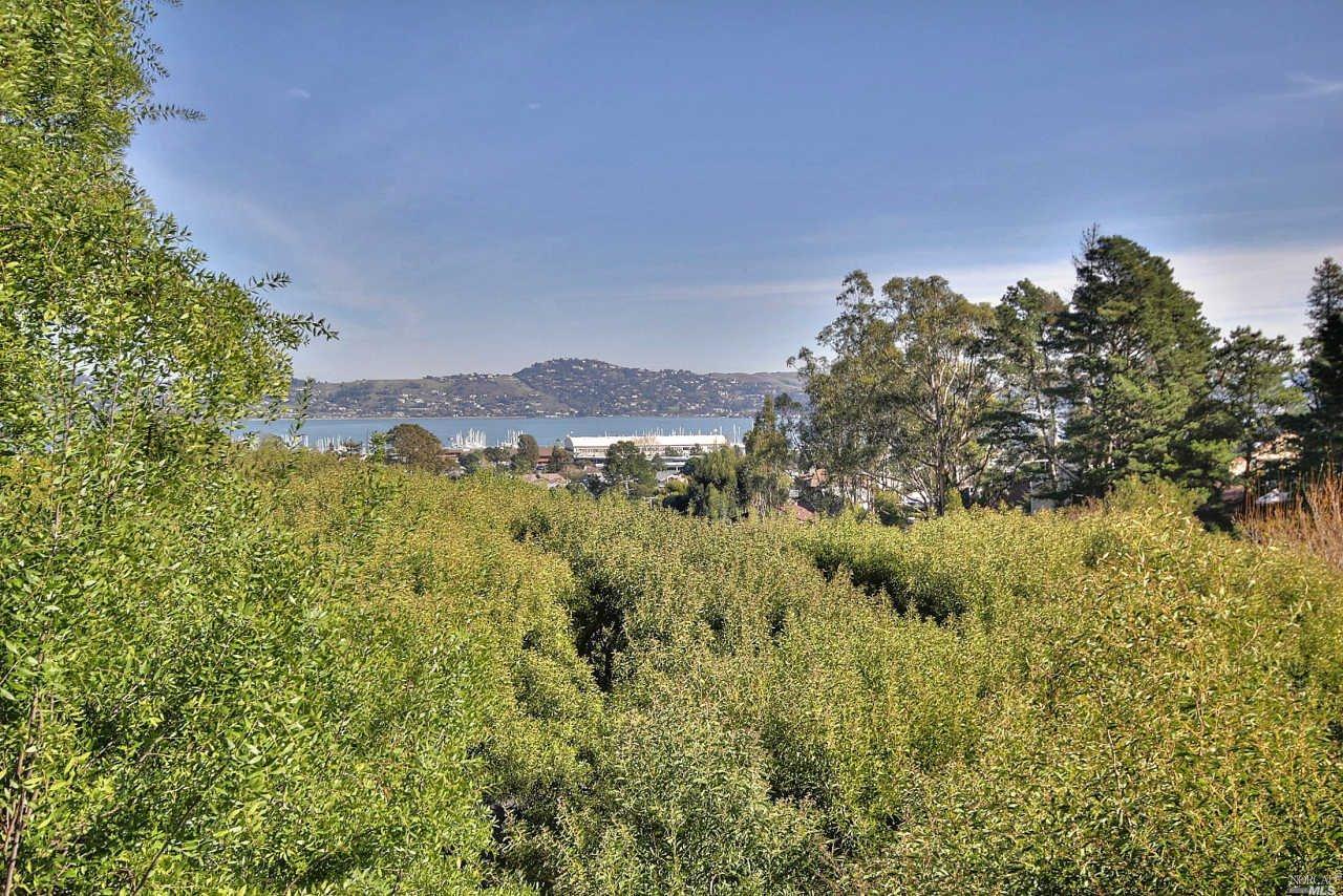 12 Anchorage Rd, Sausalito, CA 94965 photo 21