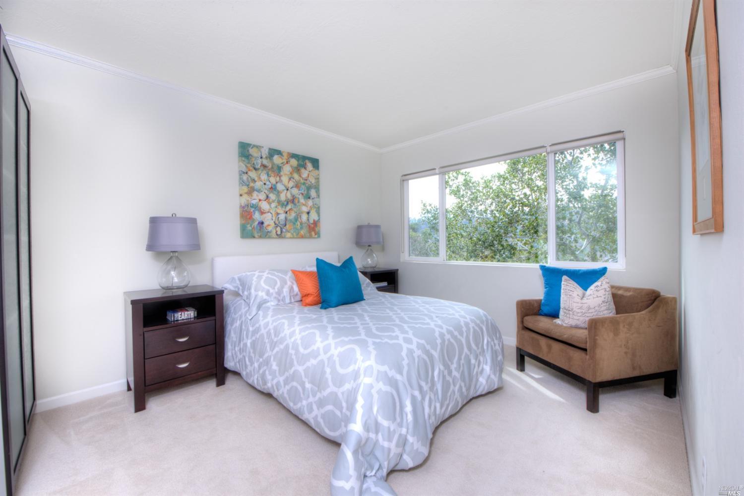 7 Windsor Ave, San Rafael, CA 94901 photo 17