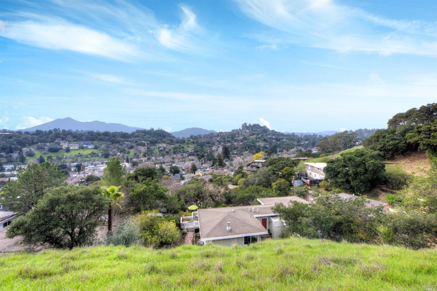 7 Windsor Ave, San Rafael, CA 94901 photo 24