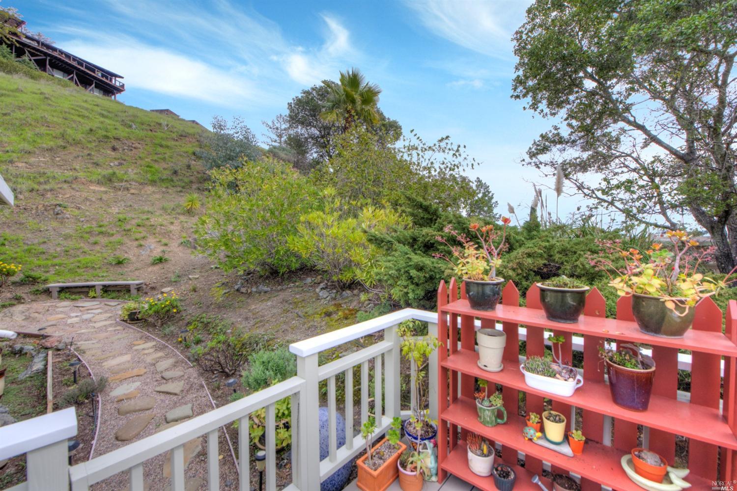 7 Windsor Ave, San Rafael, CA 94901 photo 22