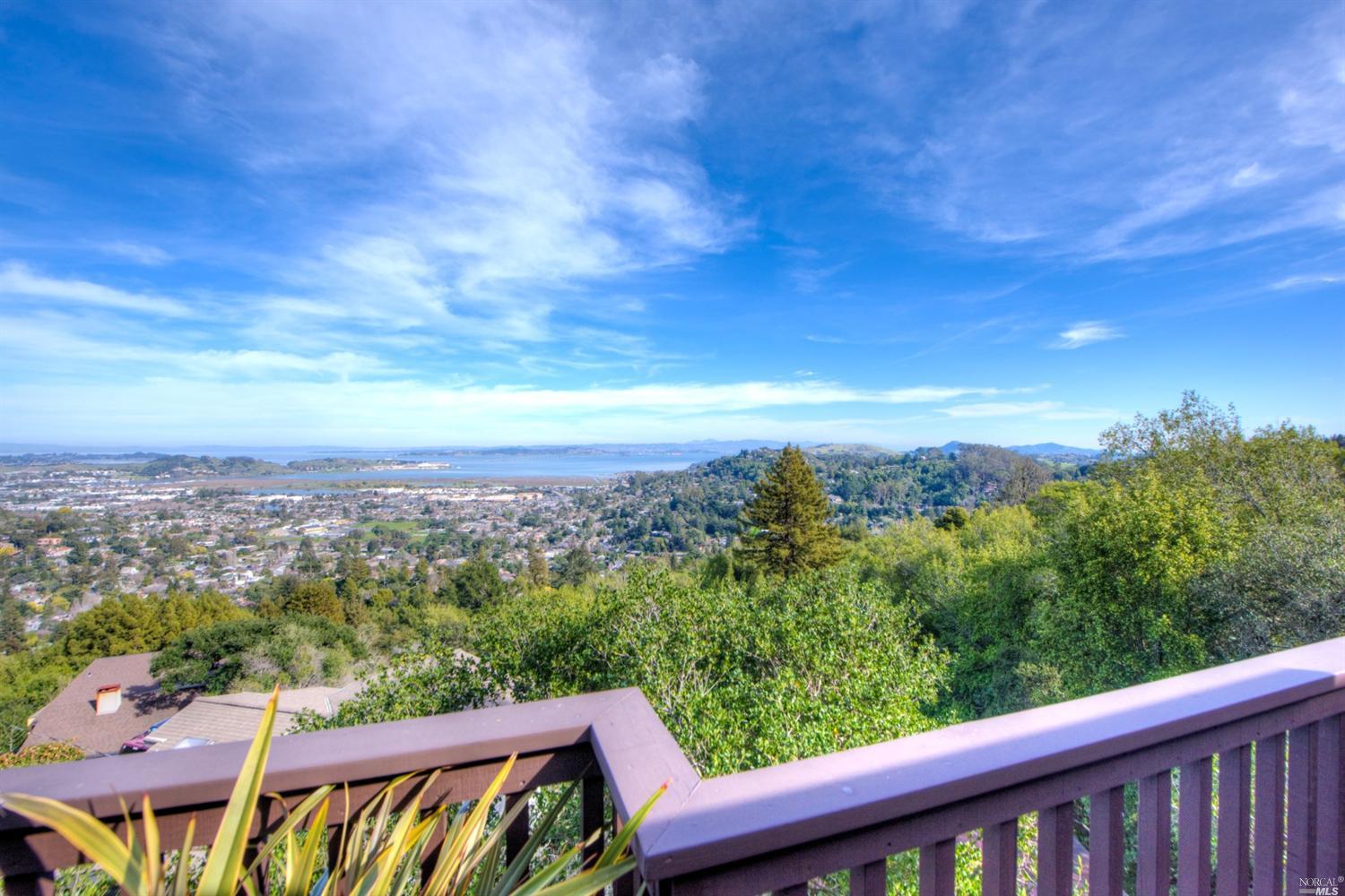159 Summit Dr, Corte Madera, CA 94925 photo 24