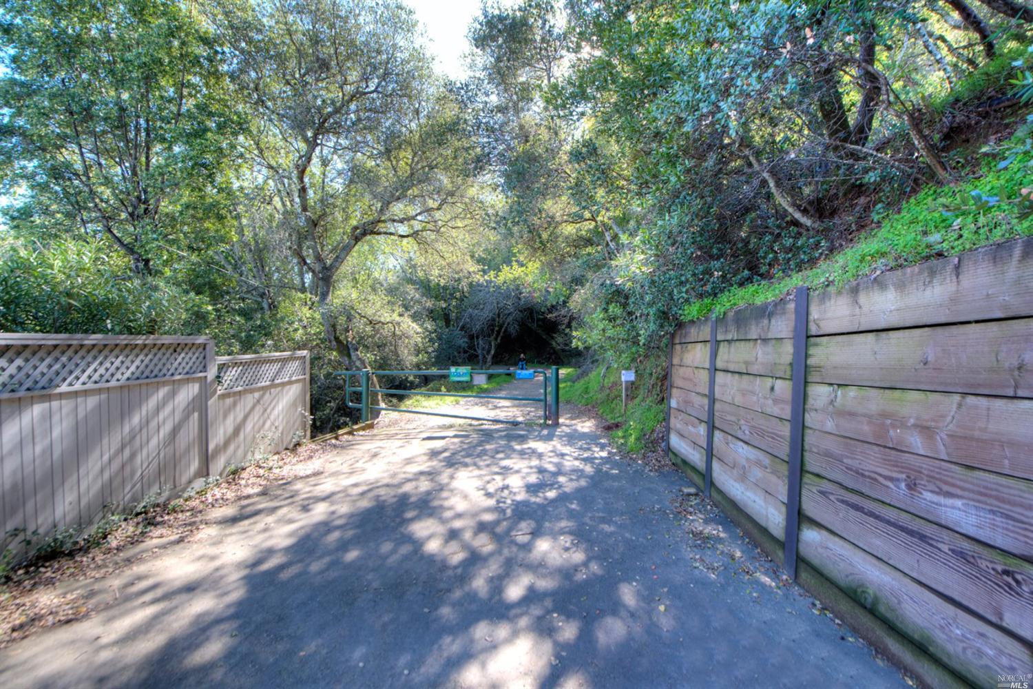 159 Summit Dr, Corte Madera, CA 94925 photo 25