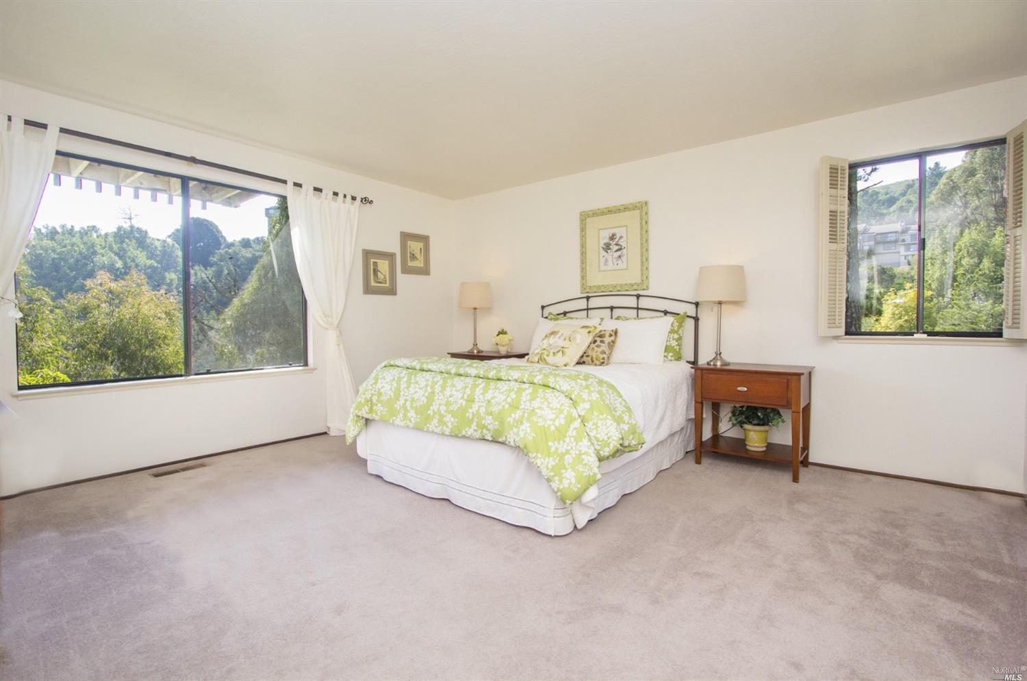 381 County View Dr, Mill Valley, CA 94941 photo 15