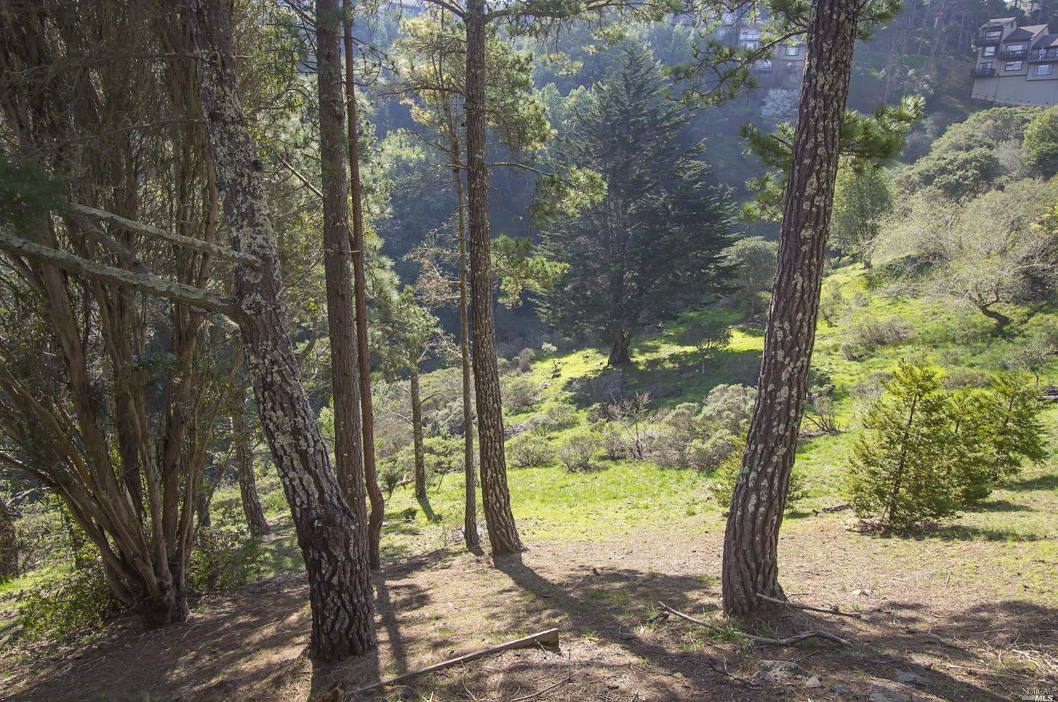 381 County View Dr, Mill Valley, CA 94941 photo 22