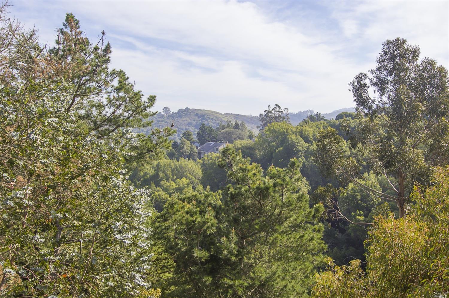 381 County View Dr, Mill Valley, CA 94941 photo 14