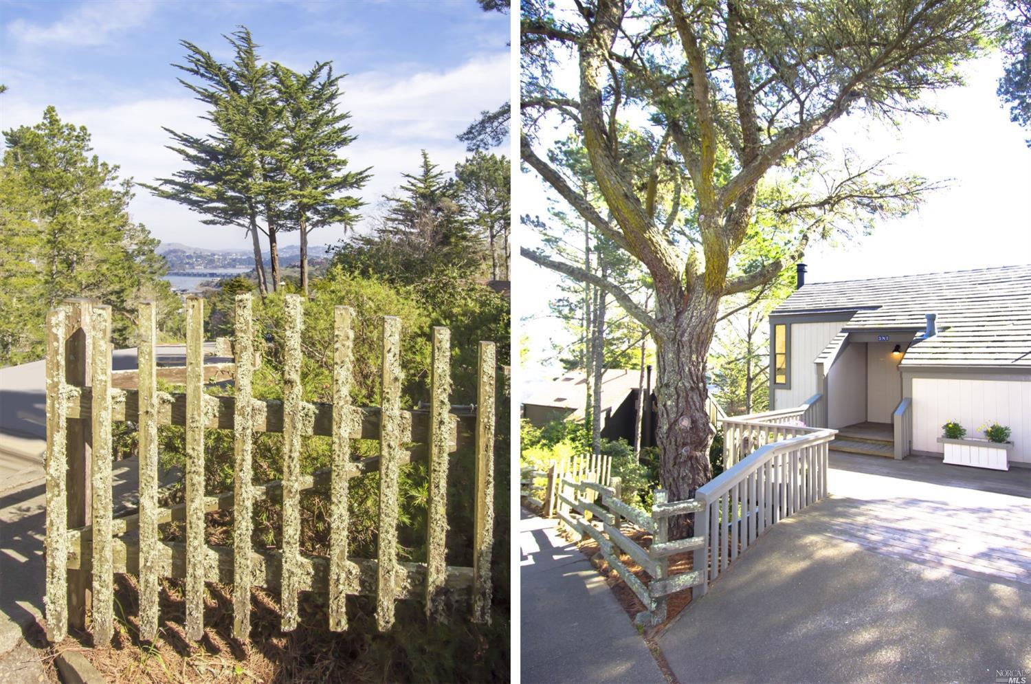381 County View Dr, Mill Valley, CA 94941 photo 2