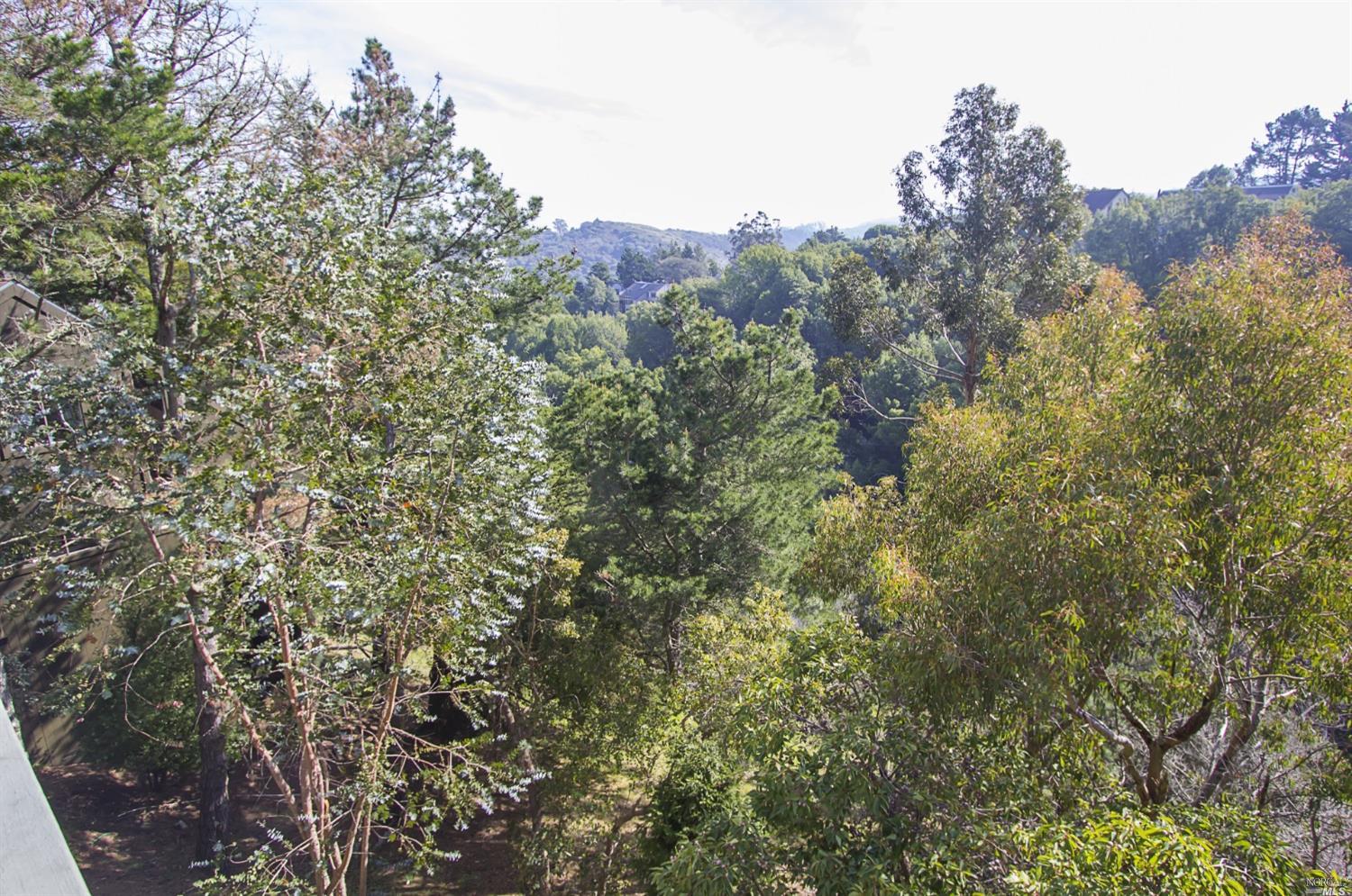 381 County View Dr, Mill Valley, CA 94941 photo 9