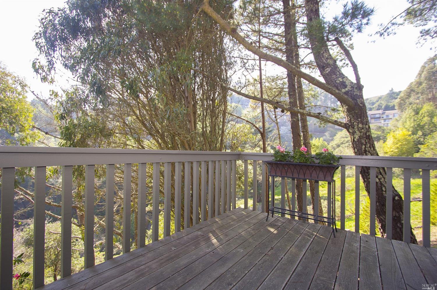 381 County View Dr, Mill Valley, CA 94941 photo 3