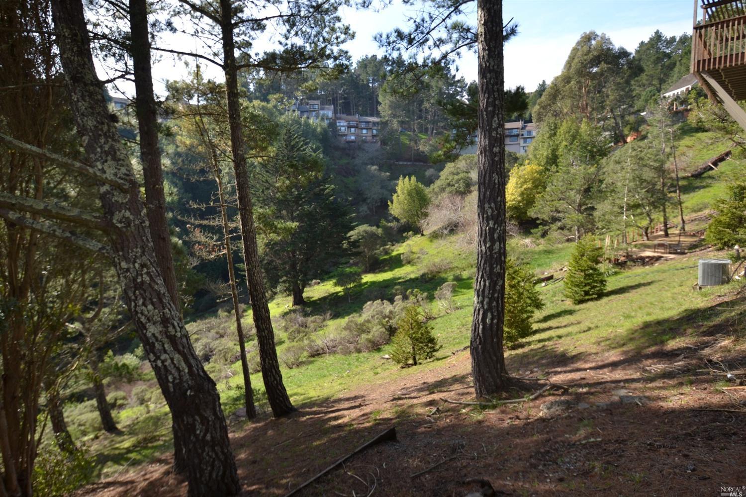 381 County View Dr, Mill Valley, CA 94941 photo 26