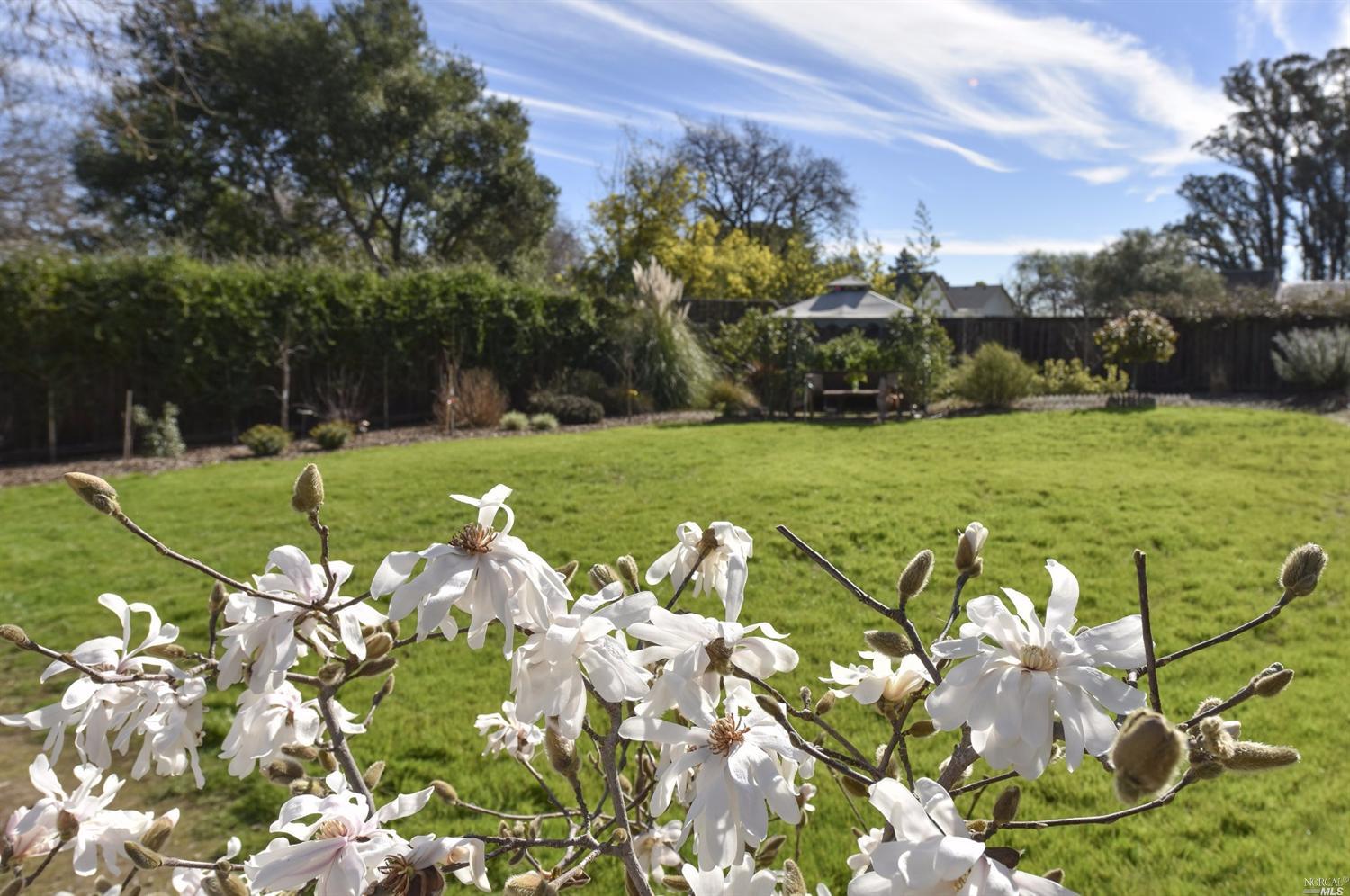 1140 Solano Ave, Sonoma, CA 95476 photo 20