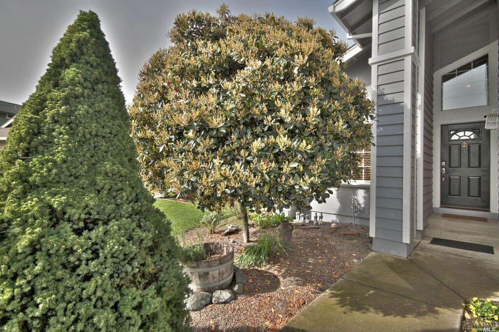 205 Hahn Way, Cotati, CA 94931 photo 4