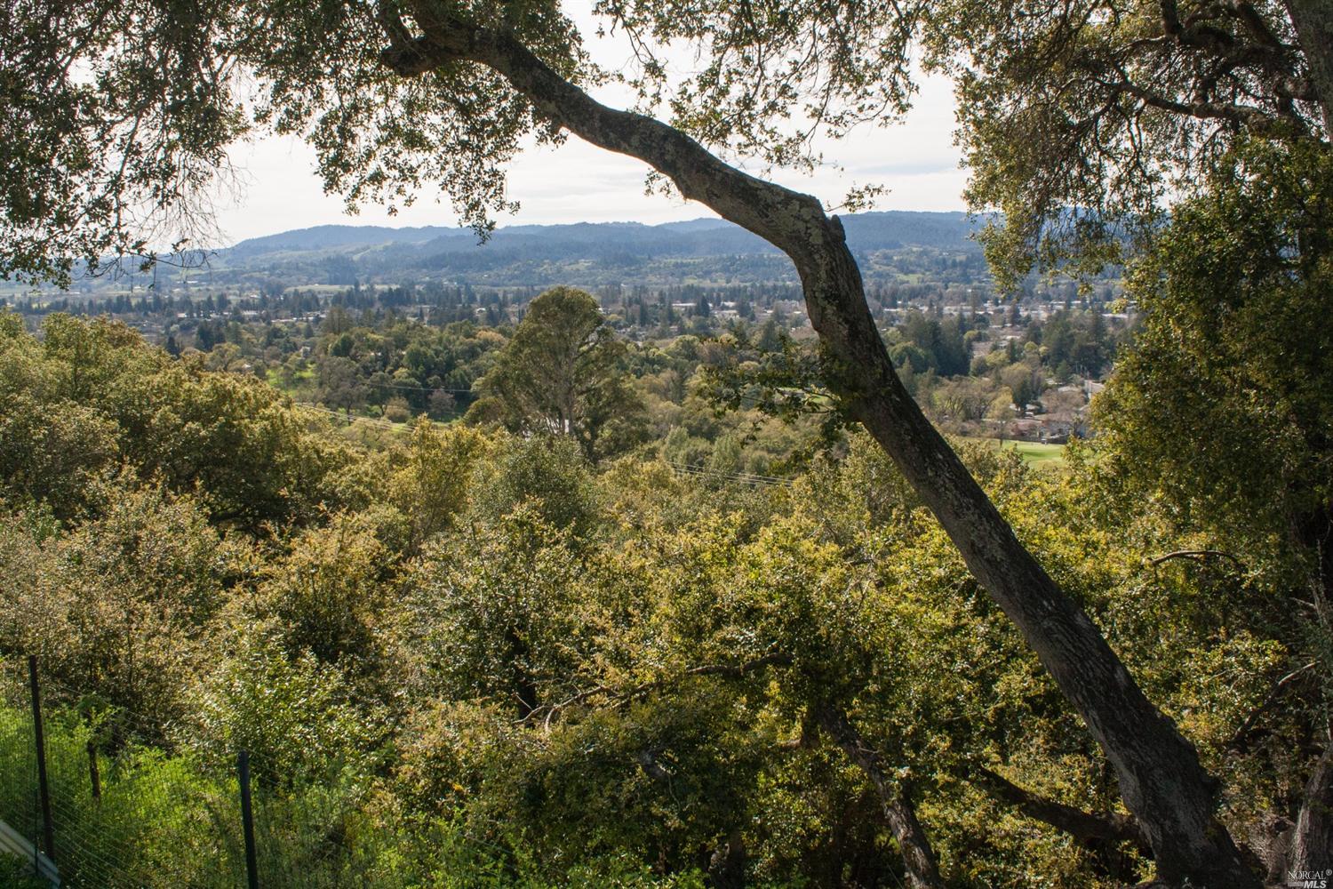 903 Benjamin Way, Healdsburg, CA 95448 photo 7