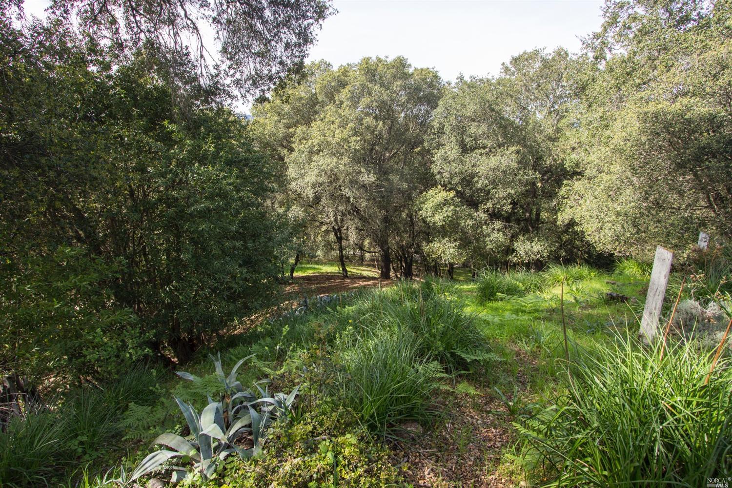 903 Benjamin Way, Healdsburg, CA 95448 photo 12
