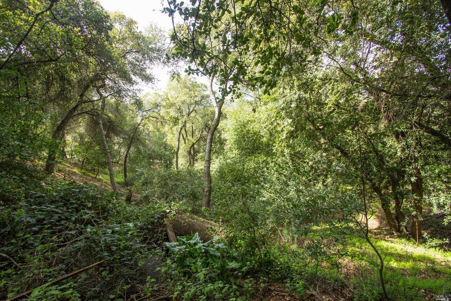 903 Benjamin Way, Healdsburg, CA 95448 photo 14