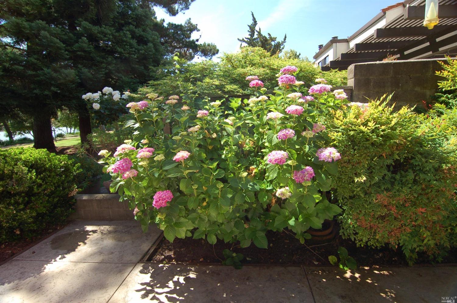 896 Marina Dr, Napa, CA 94559 photo 19