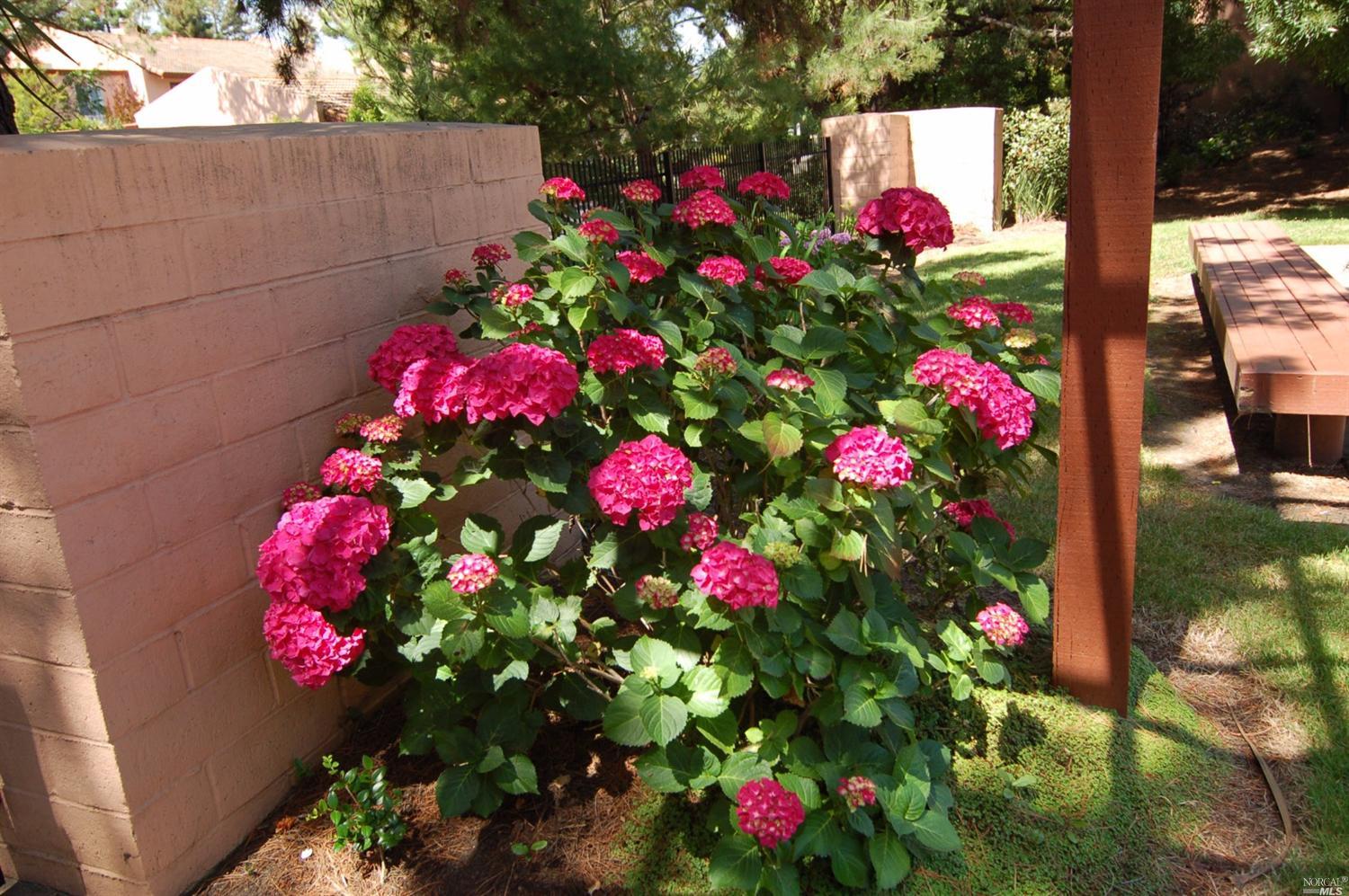896 Marina Dr, Napa, CA 94559 photo 34
