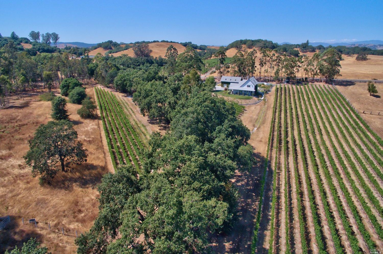 6820 Starr Rd, Windsor, CA 95492 photo 15
