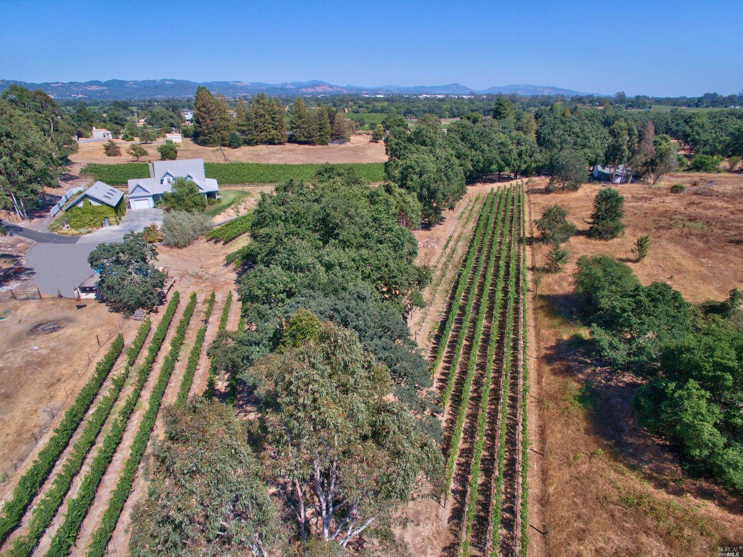 6820 Starr Rd, Windsor, CA 95492 photo 16
