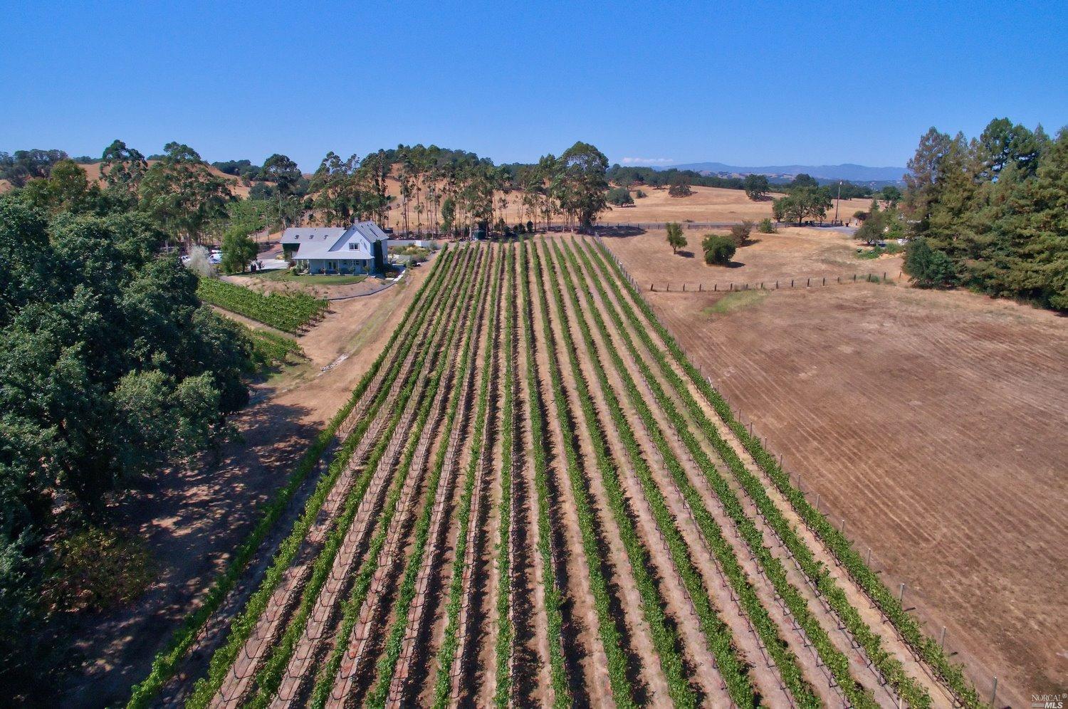 6820 Starr Rd, Windsor, CA 95492 photo 14