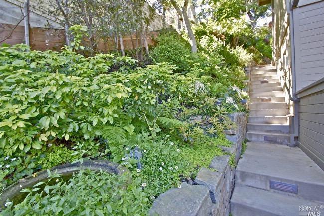 288 Hillside Ave, Mill Valley, CA 94941 photo 25