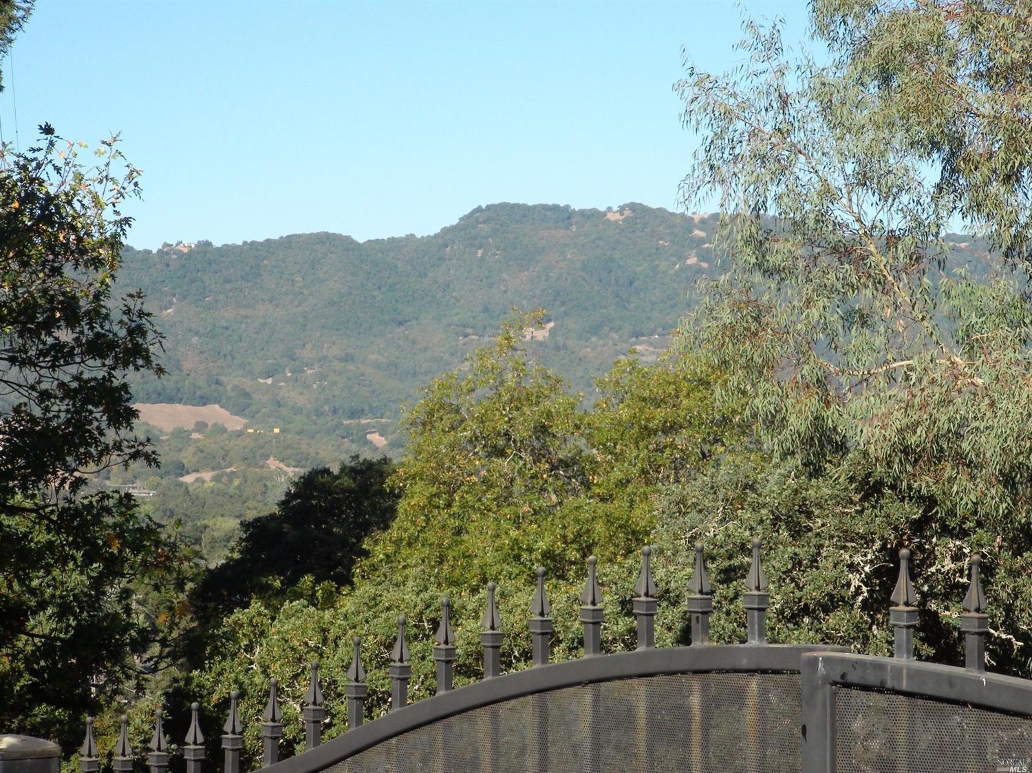 466 Mountain Ave, Sonoma, CA 95476 photo 9