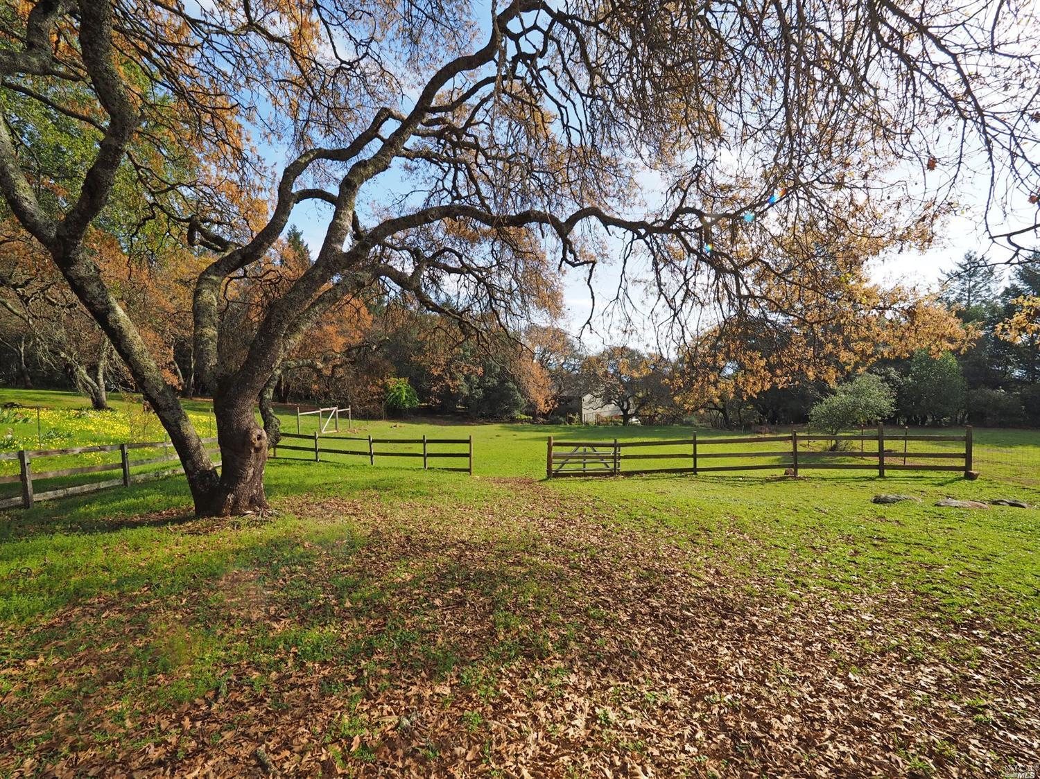 2811 Bardy Rd, Santa Rosa, CA 95404 photo 25