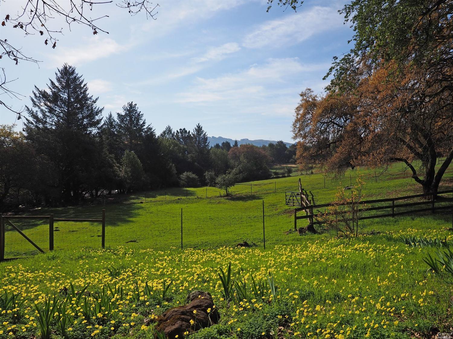 2811 Bardy Rd, Santa Rosa, CA 95404 photo 3