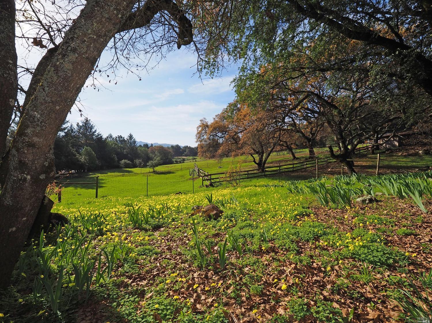 2811 Bardy Rd, Santa Rosa, CA 95404 photo 27
