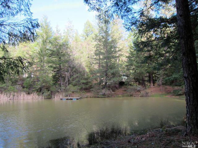 Undisclosed, Willits, CA 95490 photo 34