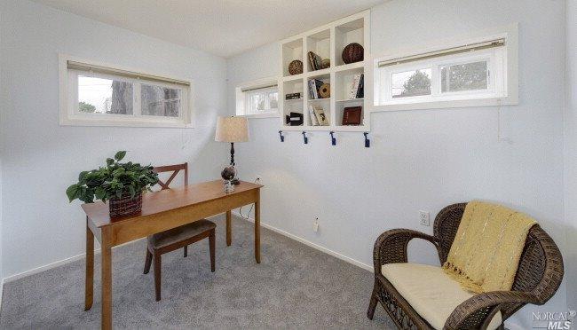 22 Midway Ave, Mill Valley, CA 94941 photo 20
