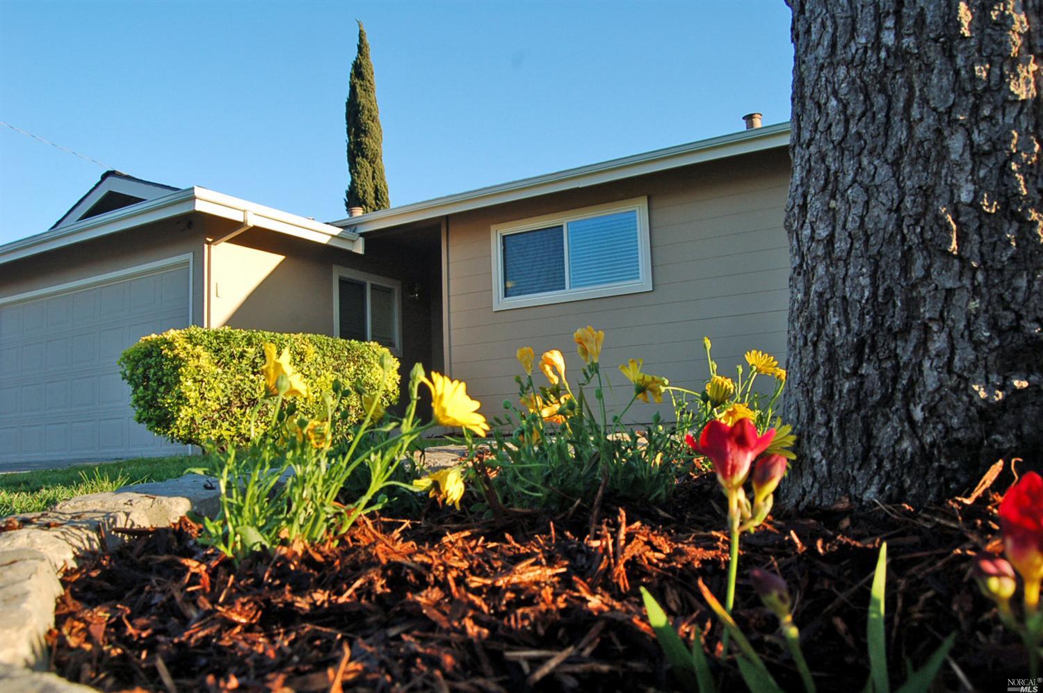 243 Jasmine St, Fairfield, CA 94533 photo 3