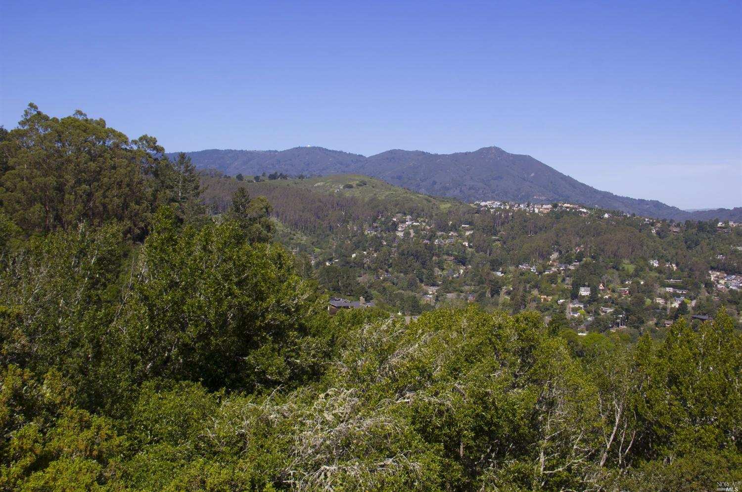 419 Viewpark Ct, Mill Valley, CA 94941 photo 1