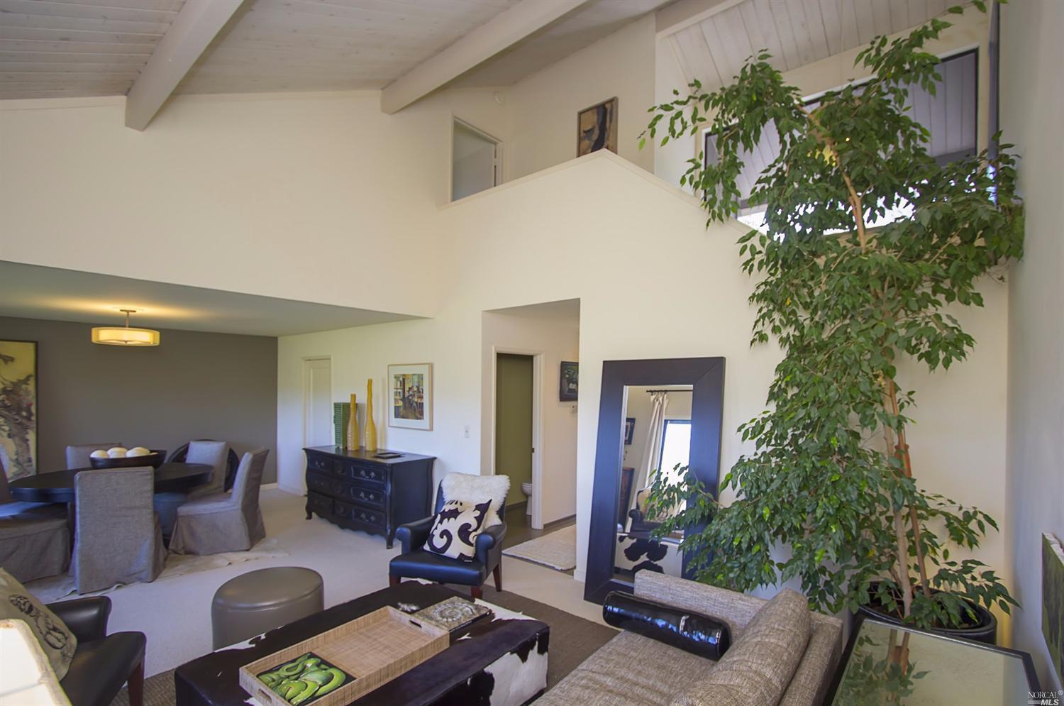 419 Viewpark Ct, Mill Valley, CA 94941 photo 8