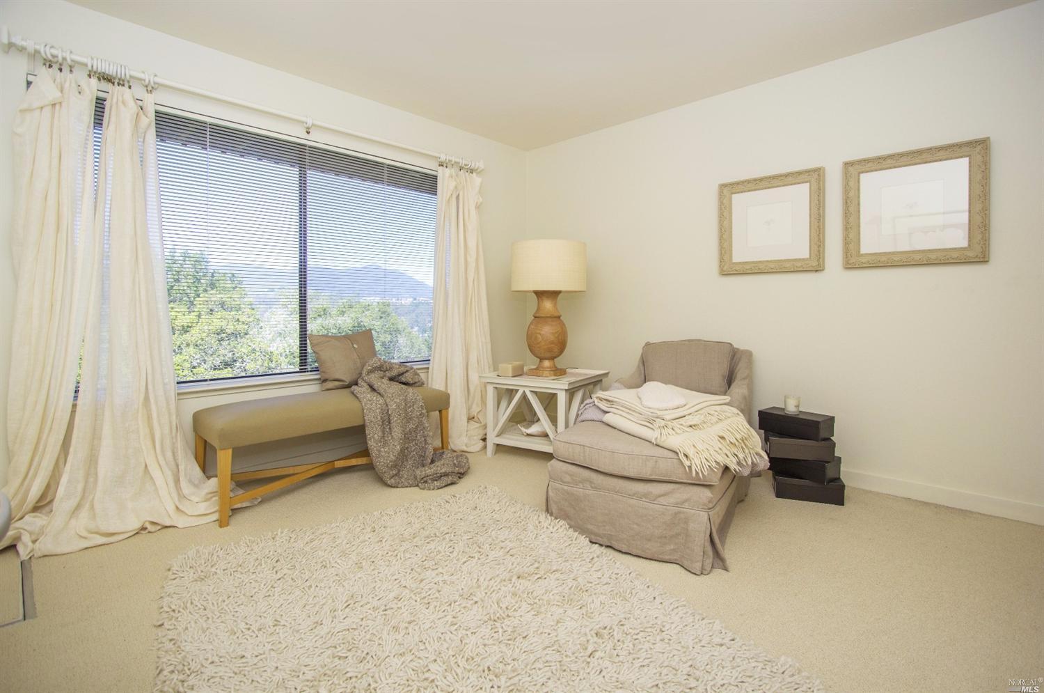 419 Viewpark Ct, Mill Valley, CA 94941 photo 19