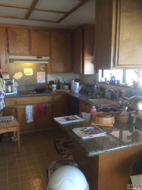 486 Eileen Dr, Sebastopol, CA 95472 photo 6