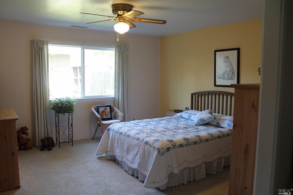654 Walnut Ave, Ukiah, CA 95482 photo 18