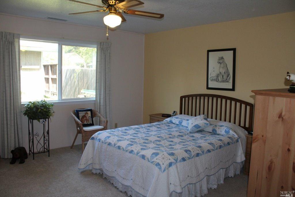 654 Walnut Ave, Ukiah, CA 95482 photo 19