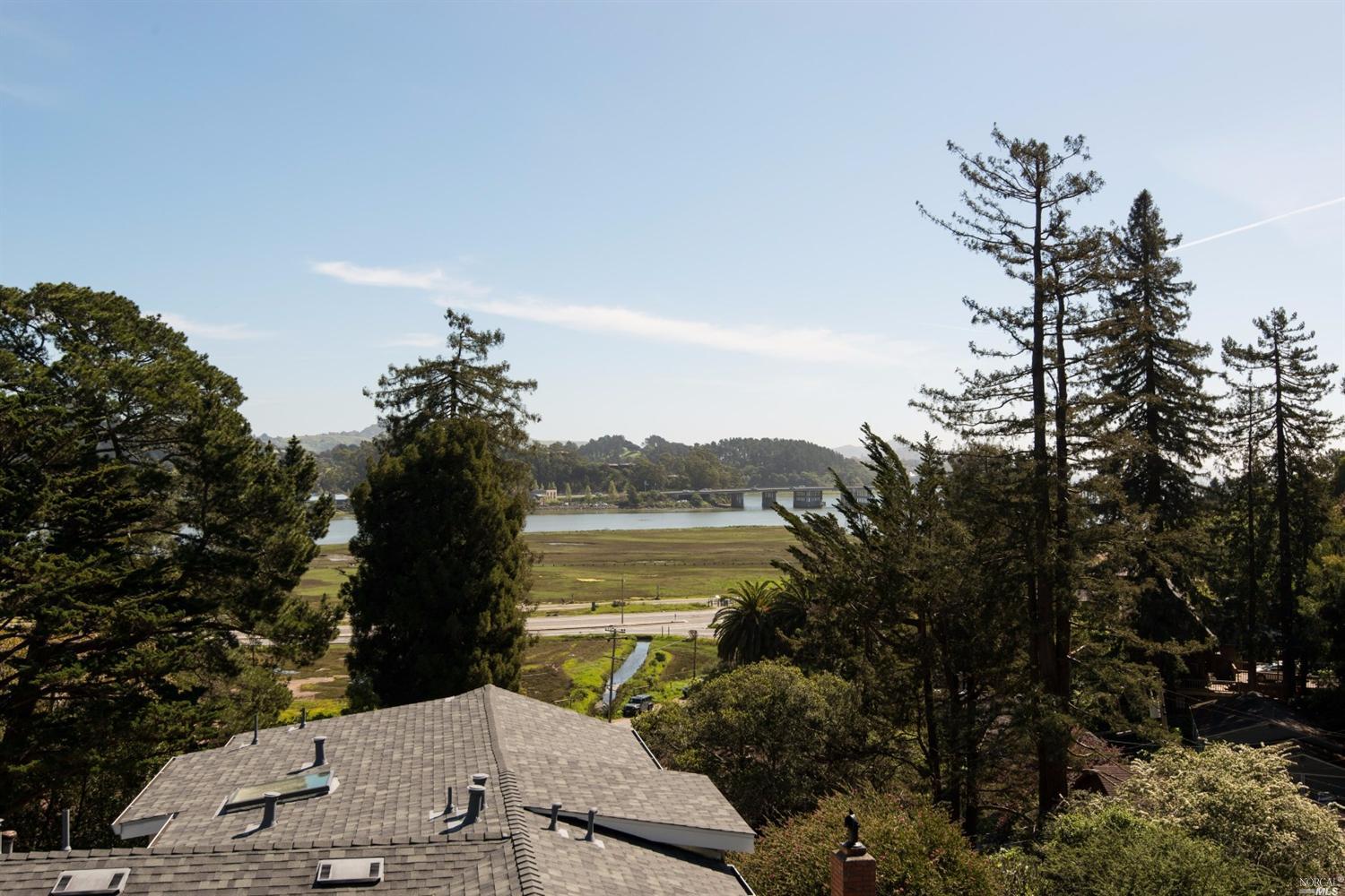 157 Lark Ln, Mill Valley, CA 94941 photo 20