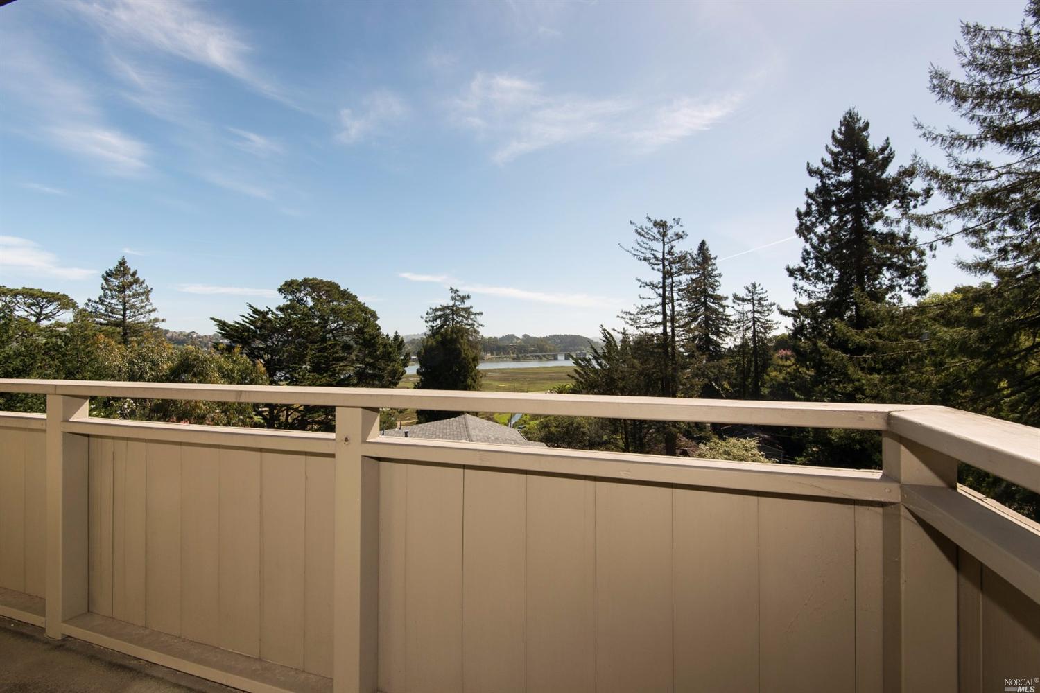 157 Lark Ln, Mill Valley, CA 94941 photo 19